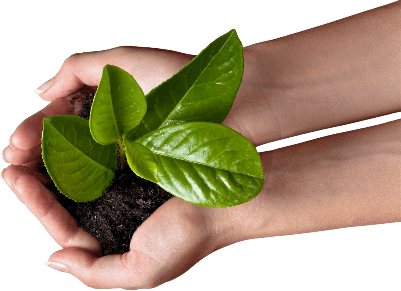 Velkommen til ReMidt