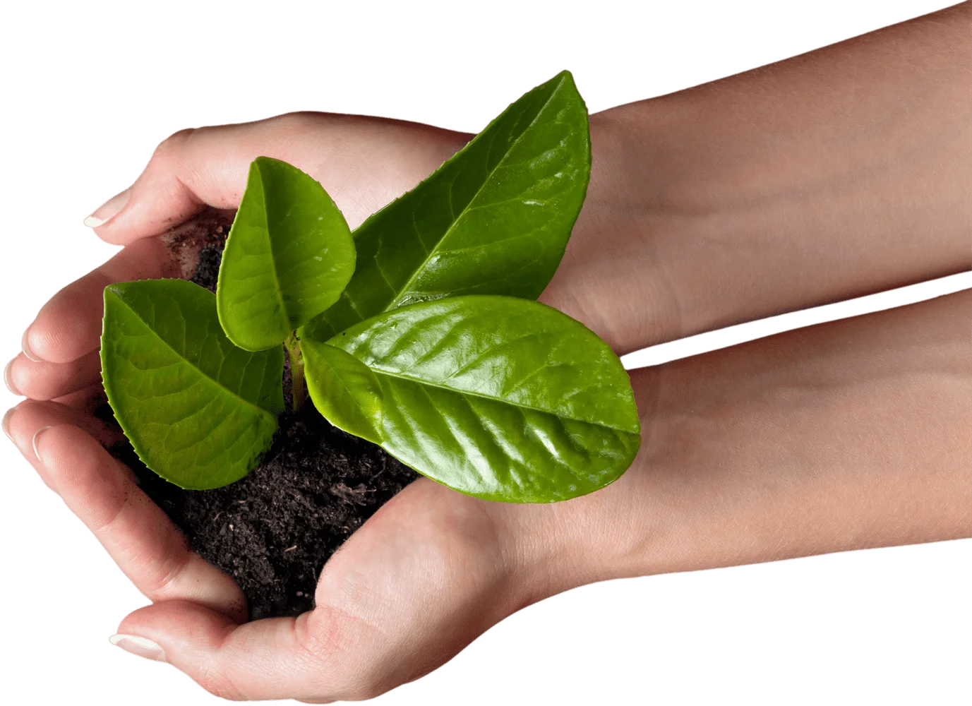 Velkommen til ReMidt