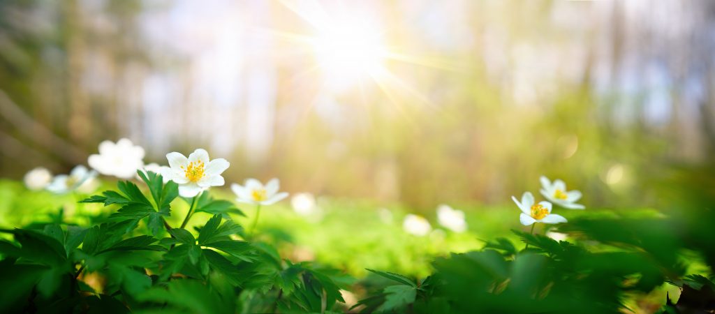 Endring i tømmedag for abonnenter i Tingvoll fra 1.mai - Klikk for stort bilde